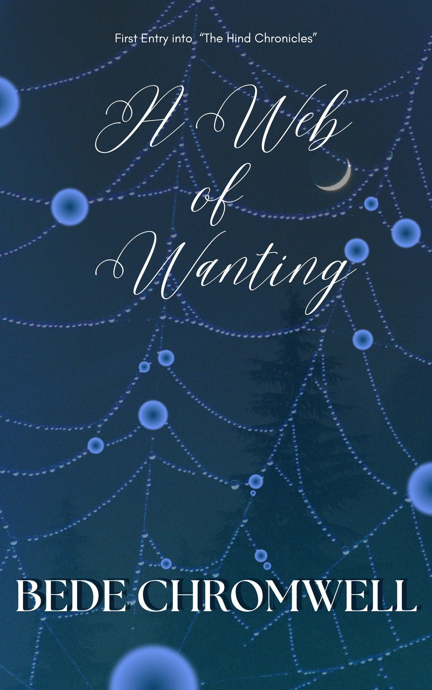 A Web of Wanting cover image